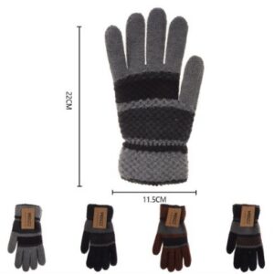 GUANTES DE INVIERNO COMPLETO L-2631