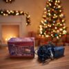 LUCES DE NAVIDAD – 100 LUCES LED L-2096